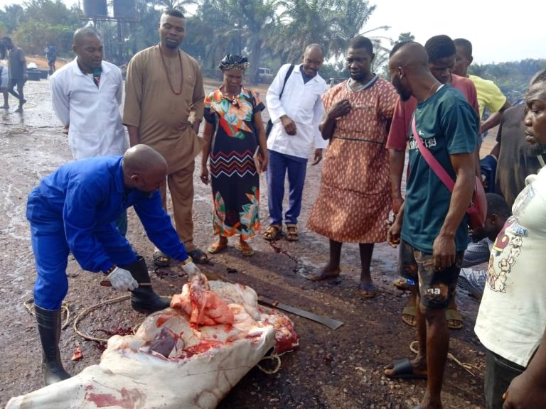 TUBERCULOSIS AWARENESS CAMPAIGN HOLDS AT UMUNYA SLAUGHTER HOUSE