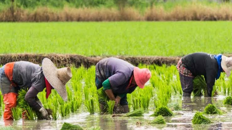 RIGHT TO ADEQUATE FOOD IN FOCUS AMID RISING HUNGER