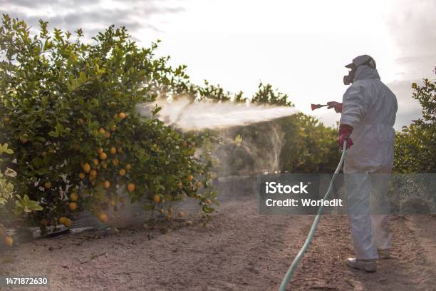 EXPERTS CAUTION AGAINST CHEMICAL USE ON FARM PRODUCE, DESCRIBE PRACTICE AS DANGEROUS