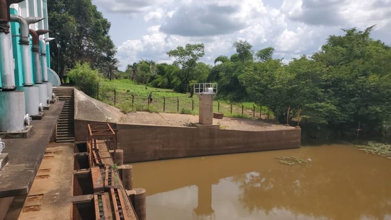 IRRIGATION REVOLUTION: HOW TINUBU’S AGRICULTURAL PROJECTS ARE TRANSFORMING RICE FARMING IN ANAMBRA