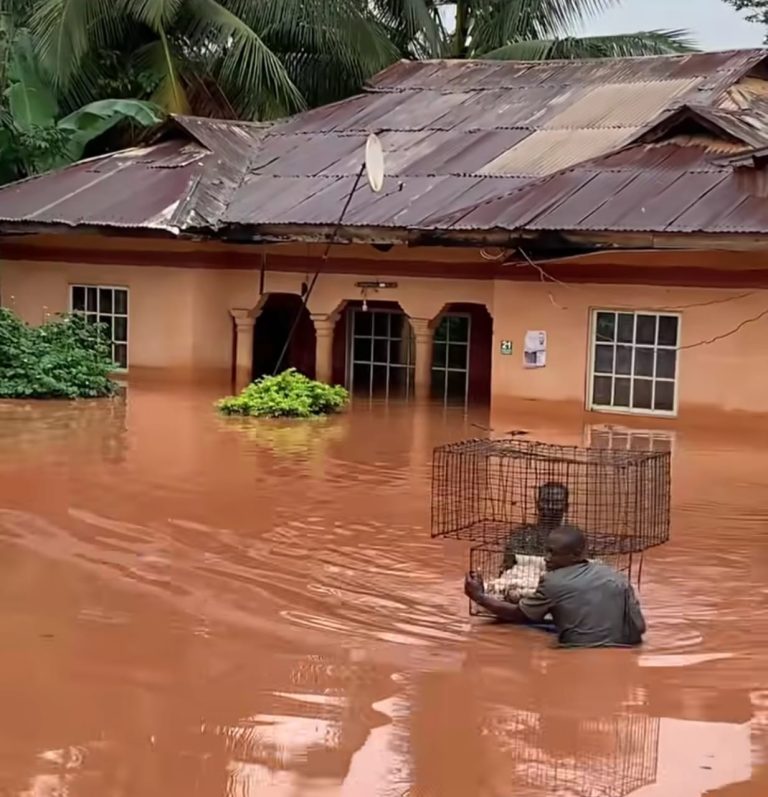 FLOOD RAVAGES ANAMBRA COMMUNITIES, RESIDENTS COUNT LOSSES, SEEK URGENT GOVERNMENT INTERVENTION